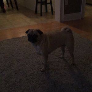 Meet your Posher, Carrie